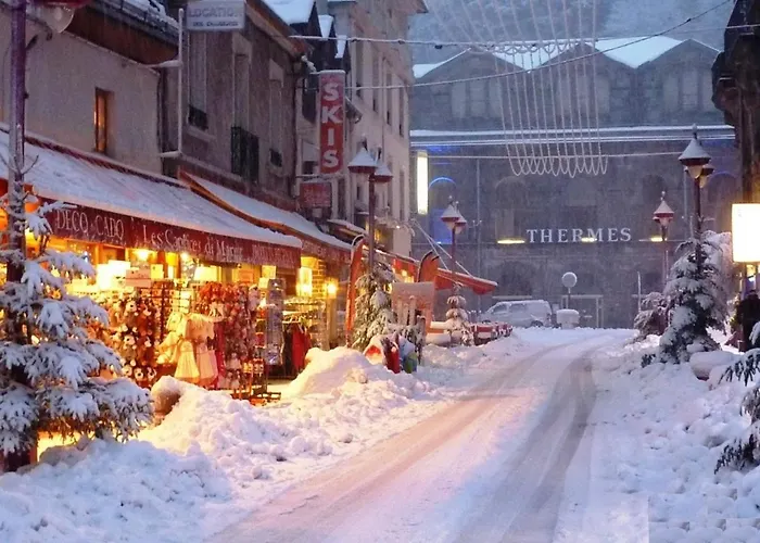 T3 Moderne Avec Wifi Et Parking - Mont-dore - Fr-1-608-13 *