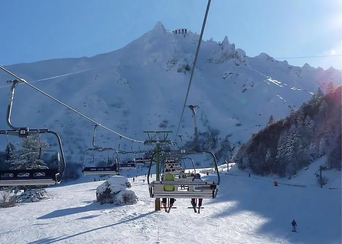 Apartment T3 Moderne Avec Wifi Et Parking - Mont-dore - Fr-1-608-13 *